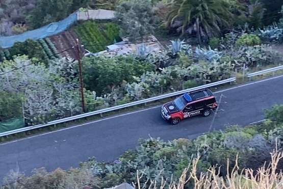 Policía Canaria y Medio Ambiente estrechan la vigilancia en Cernícalos/TA.