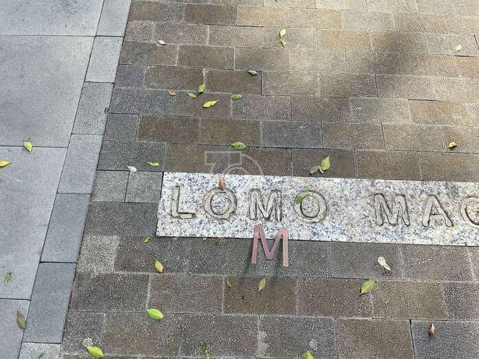 La M de Lomo Magullo se ha despegado del grabado que lleva el nombre de este barrio en la plaza de San Juan de Telde/TA.