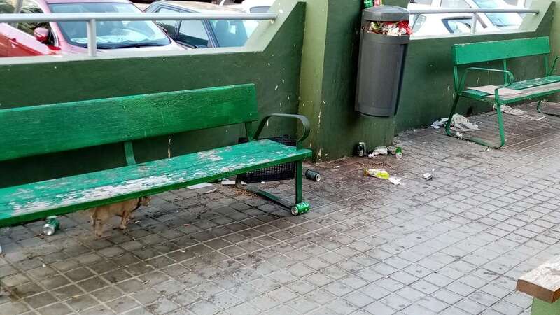 Suciedad en un espacio común del bloque 33 de la calle de Manuel Alemán Álamo/TA.