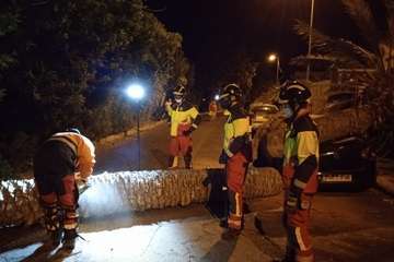 Una palmera se desploma sobre un vehículo en Marzagán/ Bomberos de LPGC.