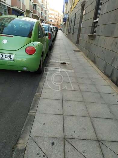 Imagen de una rata en la acera de la calle de Profesor Francisco Cruz, captada por los vecinos/TA.