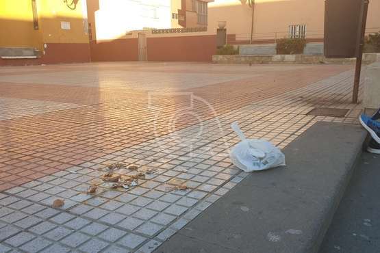 La noche de Halloween deja suciedad en La Garita/TA.