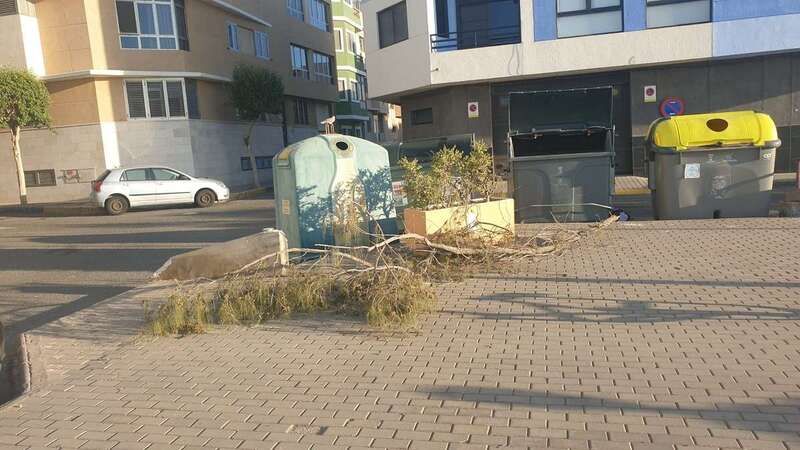 Imagen la rama junto a unos contenedores/TA.