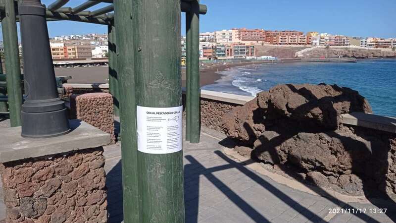 Imagen de uno de los carteles fijados en el paseo marítimo de Melenara / TA