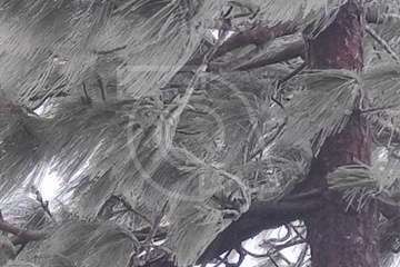  Aguanieve en la cumbre de Telde/Antonio Alí.