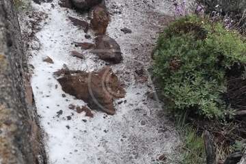  Aguanieve en la cumbre de Telde/Antonio Alí.