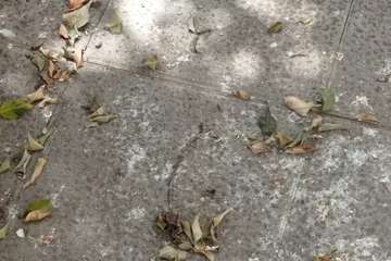 Denuncia vecinal sobre el estado del parque infantil de Las Huesas/TA.