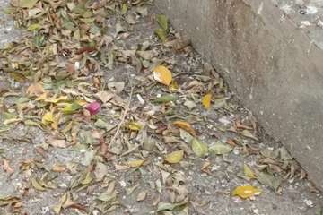 Denuncia vecinal sobre el estado del parque infantil de Las Huesas/TA.