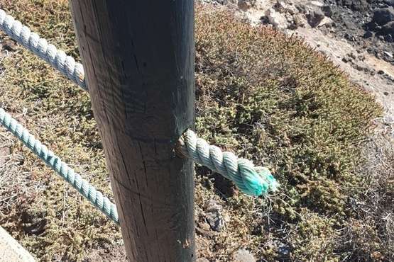 El vandalismo no se corta en La Garita/TA.