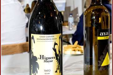 Ildefonso Rodríguez