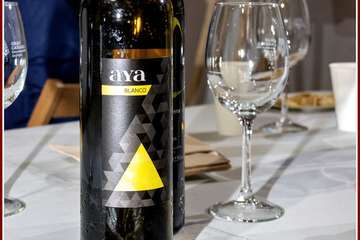 Ildefonso Rodríguez