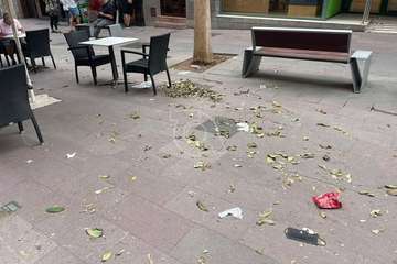 La limpieza brilla por su ausencia en la Avenida de la Constitución de Telde/TA.