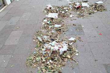 La limpieza brilla por su ausencia en la Avenida de la Constitución de Telde/TA.