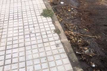 La zona industrial de Salinetas, un 