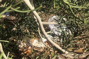 La zona industrial de Salinetas, un 