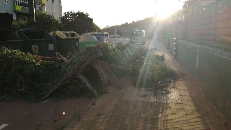 Imagen remitida por vecinos de la zona/TA.