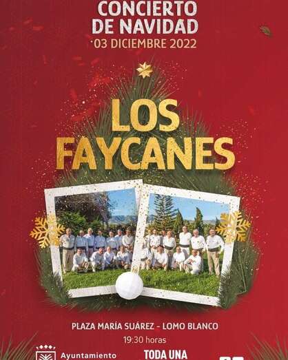 Cartel de concierto suspendido/TA.