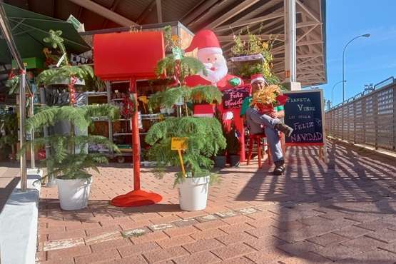 El Mercado Municipal de Telde se engalana para la Navidad/TA.