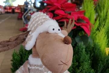 El Mercado Municipal de Telde se engalana para la Navidad/TA.