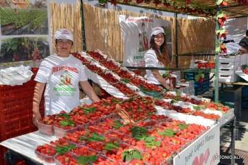 Puesto de venta de fresas en la feria (Foto Antonio Alí)