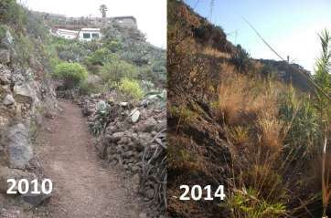Estado del camino de Las Vueltas de Arriba (Foto TA)
