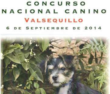 Cartel del concurso (Foto TA)