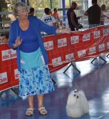 Un momento de la muestra (Foto TA)