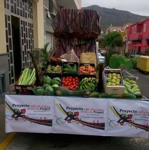 Participación del proyecto Pulseras salvavidas en la romería (Foto TA)