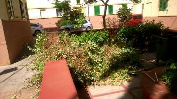 Estado de los jardines en Valsequillo (Foto TA)