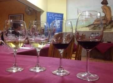Imagen de archivo de una cata de vino (Foto TA)