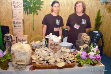 Puesto de setas de Teror (Foto Antonio Alí)