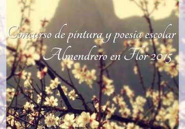 Cartel del concurso (Foto TA)