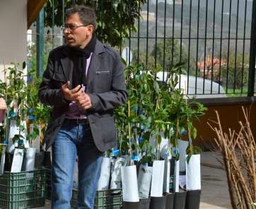 El alcalde Francisco Atta participó en la entrega de los arboles frutales (Foto TA)