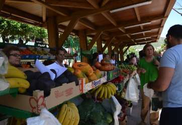 Imagen del Mercadillo de Valsequillo (Foto TA)