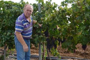 Francisco Afonso junto a varias de sus parras (Foto TA