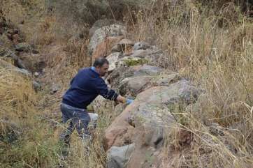 Imagen de archivo de una campaña de desratización en Valsequillo (Foto TA)
