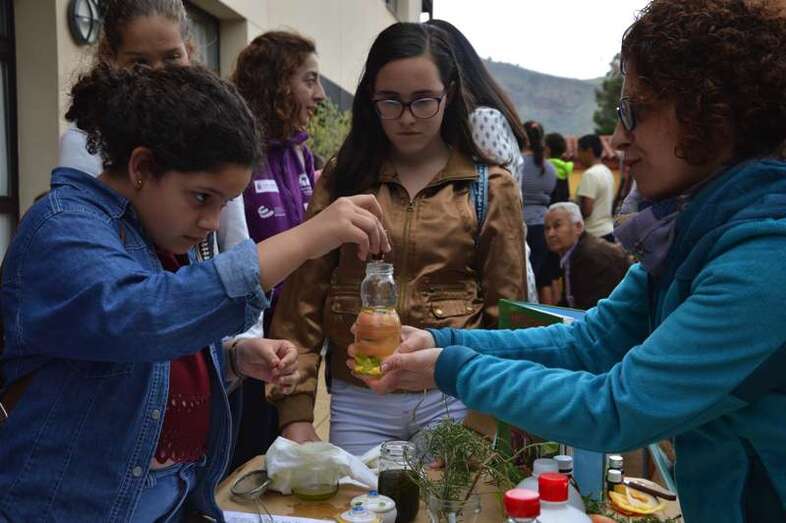 Imagen de una de las actividades de la jornada (Foto TA)
