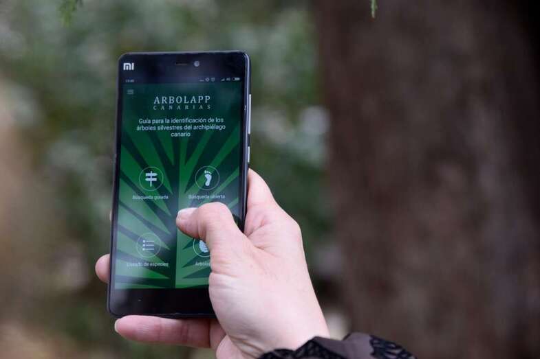  Arbolapp Canarias incluye información sobre 92 especies de árboles (Foto TA)