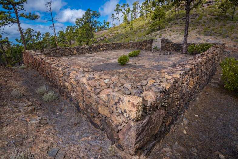 Imagen del secadero de piñas de pino del Pie de la Cuesta, en Mogán (Foto TA)