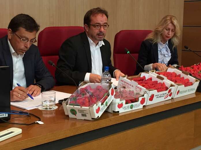 El V Día de la Fresa se presentó este jueves en Valsequillo (Foto TA)