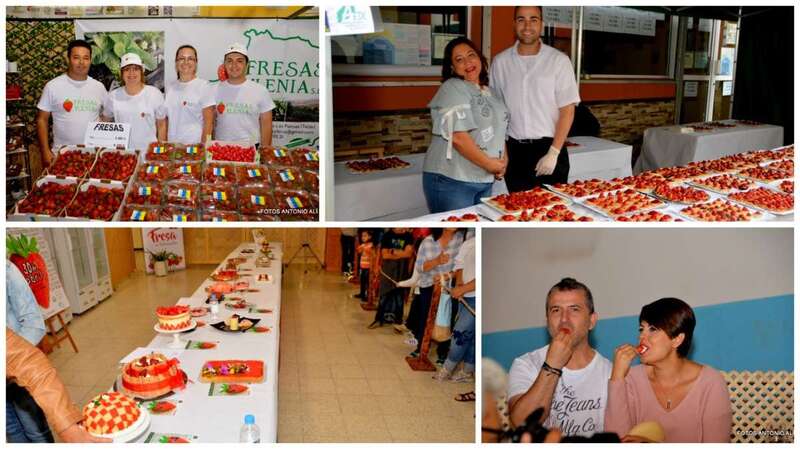 Diferentes momentos de la feria (Foto Antonio Alí)