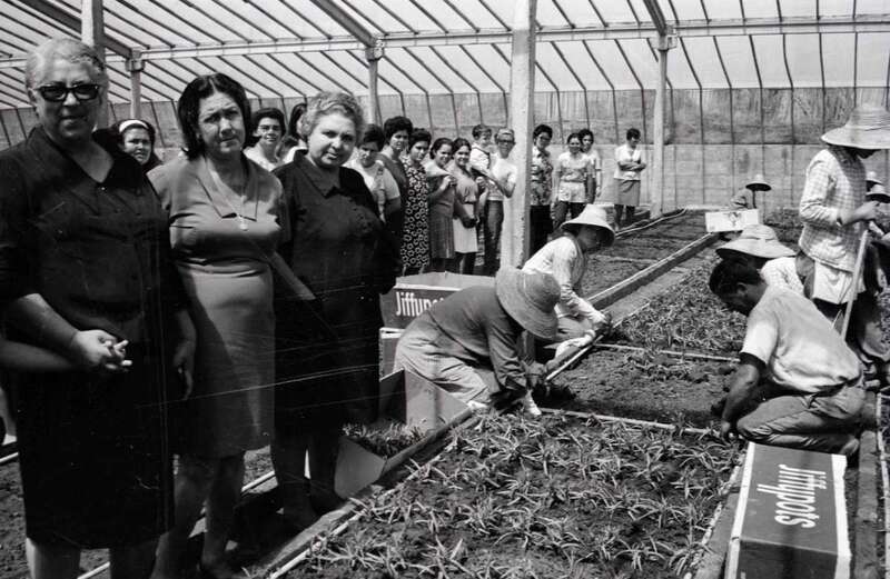 Un grupo de mujeres aparceras en uno de los invernaderos agrícolas de Gran Canaria (Foto TA)