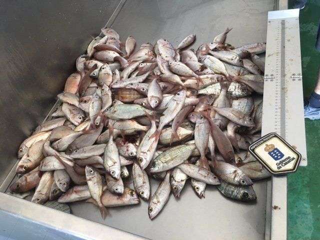 Imagen de archivo de una intervención de pescado ilegal (Foto TA)