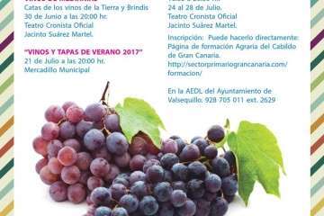 Programa de verano de Valsequillo 2017 (Foto TA)