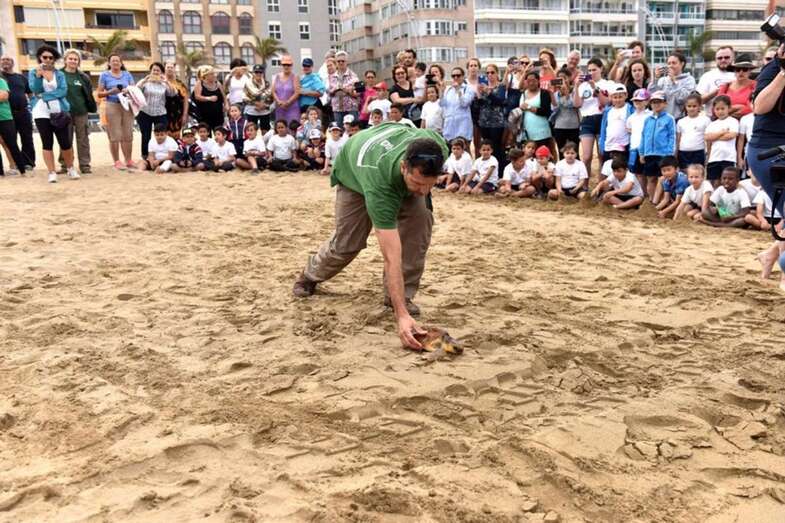 Sepro y Jerónima ya nadan por el Atlántico (Foto TA)