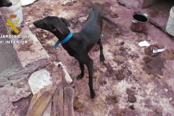 Foto cedida por la Guardia Civil.