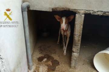Foto cedida por la Guardia Civil.