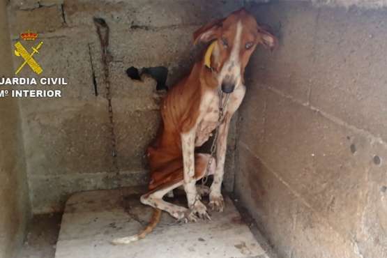 Foto cedida por la Guardia Civil.