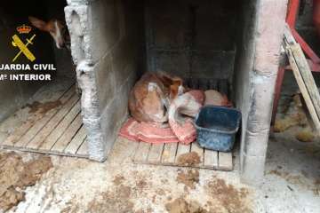 Foto cedida por la Guardia Civil.