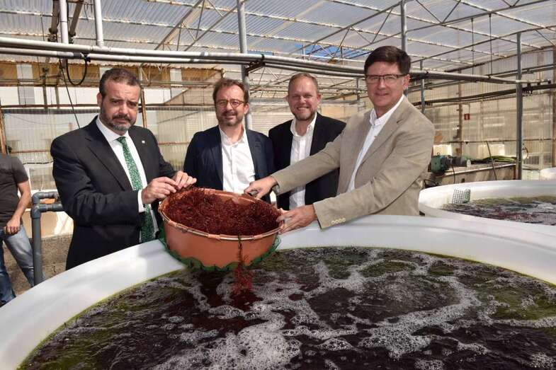 El rector Rafael Robaina (i) y el consejero Raúl García Brink, en una reciente visita al BEA de Taliarte junto a otras autoridades grancanarias (Foto TA)